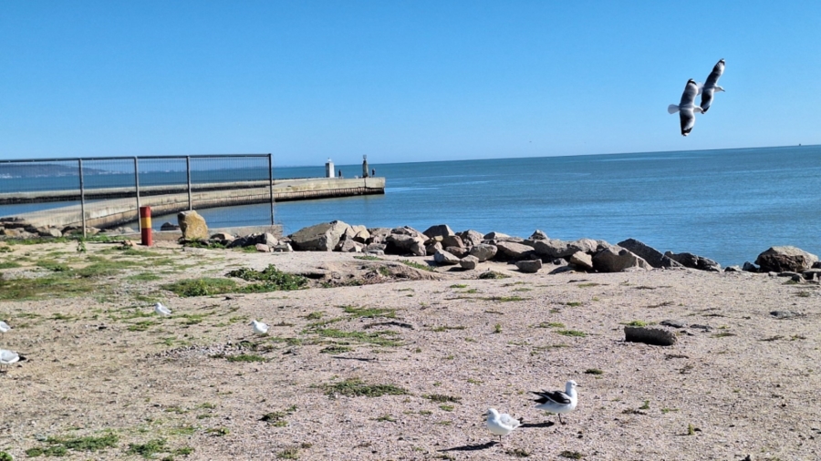 0 Bedroom Property for Sale in Laaiplek Western Cape